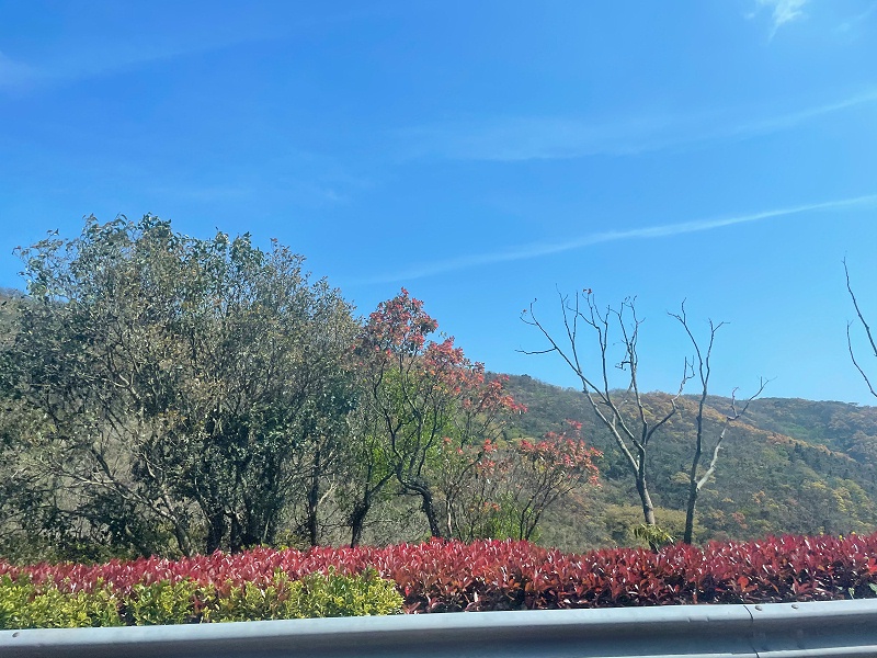 上海越邦機(jī)電團(tuán)隊(duì)旅游 上海越邦機(jī)電團(tuán)隊(duì)旅游