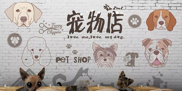 寵物店新風安裝安裝 寵物店新風安裝安裝